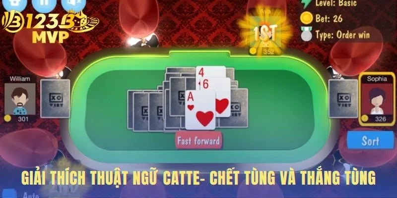 Catte | Hướng Dẫn Chơi 6 Lượt Và Chiến Thuật Tại 123 3 Thuật ngữ Catte giúp phán đoán diễn biến trận đấu chính xác